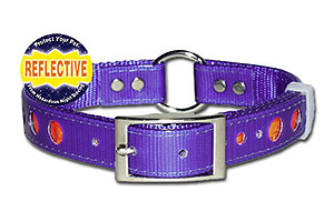 Products - Pet Collars