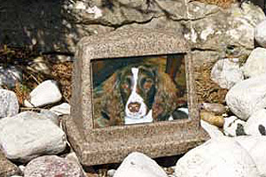 Products - Pet Memorials